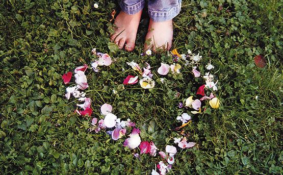 Ökologische Standards / zertifiziert