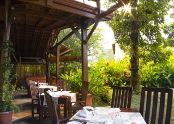 Bild 9 zum Reiseprogramm von Costa Rica for Family