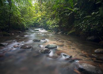 Bild 7 zum Reiseprogramm von Costa Rica for Family