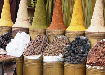 Bild 7 zum Reiseprogramm von Marokko f�r Familien: W�stenfuchs