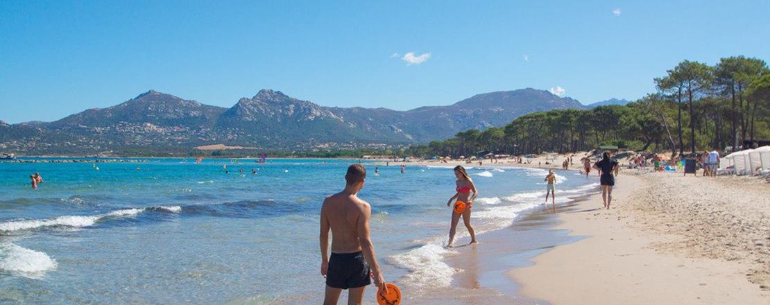 Zum störrischen Esel