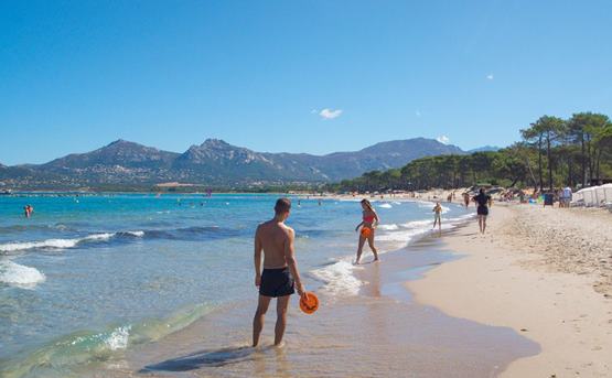 Zum störrischen Esel