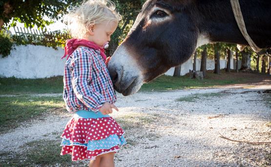 Ferienhäuser auf dem Biohof