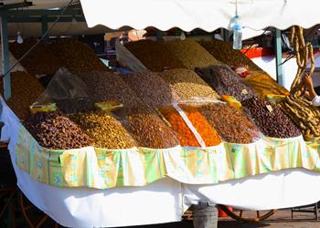 Bild 4 zum Reiseprogramm von Marokko f�r Familien: W�stenfuchs