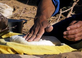 Bild 1 zum Reiseprogramm von Marokko f�r Familien: W�stenfuchs