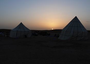 Bild 8 zum Reiseprogramm von Marokko f�r Familien: W�stenfuchs