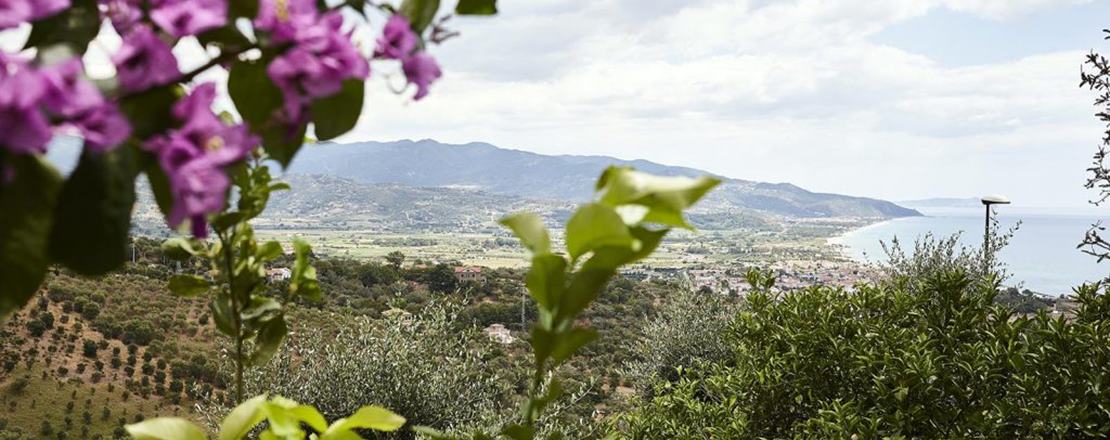 Agriturismo Cilento