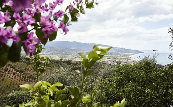Agriturismo Cilento